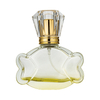 50ML-P2912